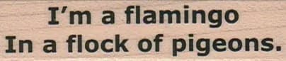 I'm A Flamingo In A Flock 3/4 x 2 3/4-0