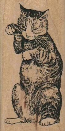 Sitting Cat 1 1/2 x 3-0